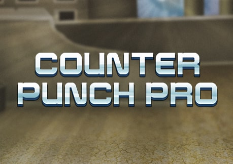 counter_punch.jpg