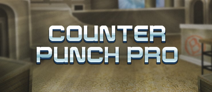 counter_punch