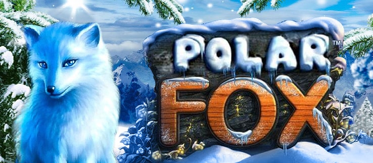 polar_fox2